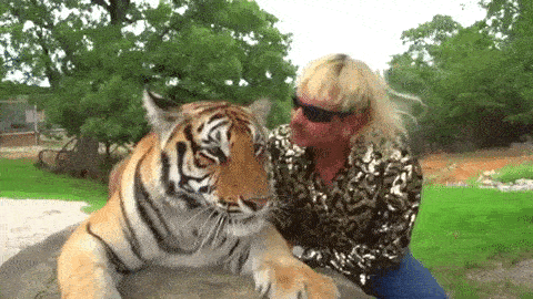 Giphy 4 1