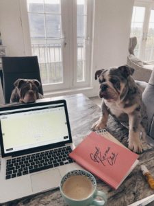 Apple Mac on table with two dogs - working from home